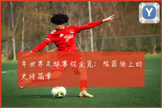 年世界足球赛程全览：绿茵场上的史诗篇章