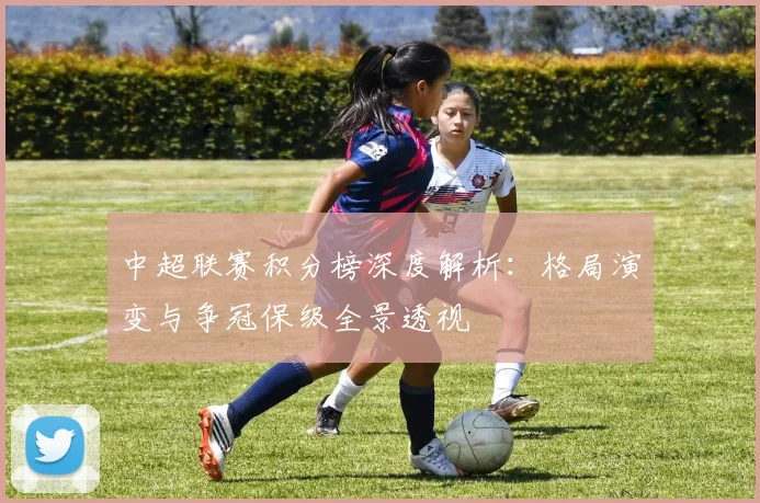 中超联赛积分榜深度解析：格局演变与争冠保级全景透视